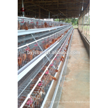 Cages de batterie de haute qualité pour les couches dans la ferme du Ghana